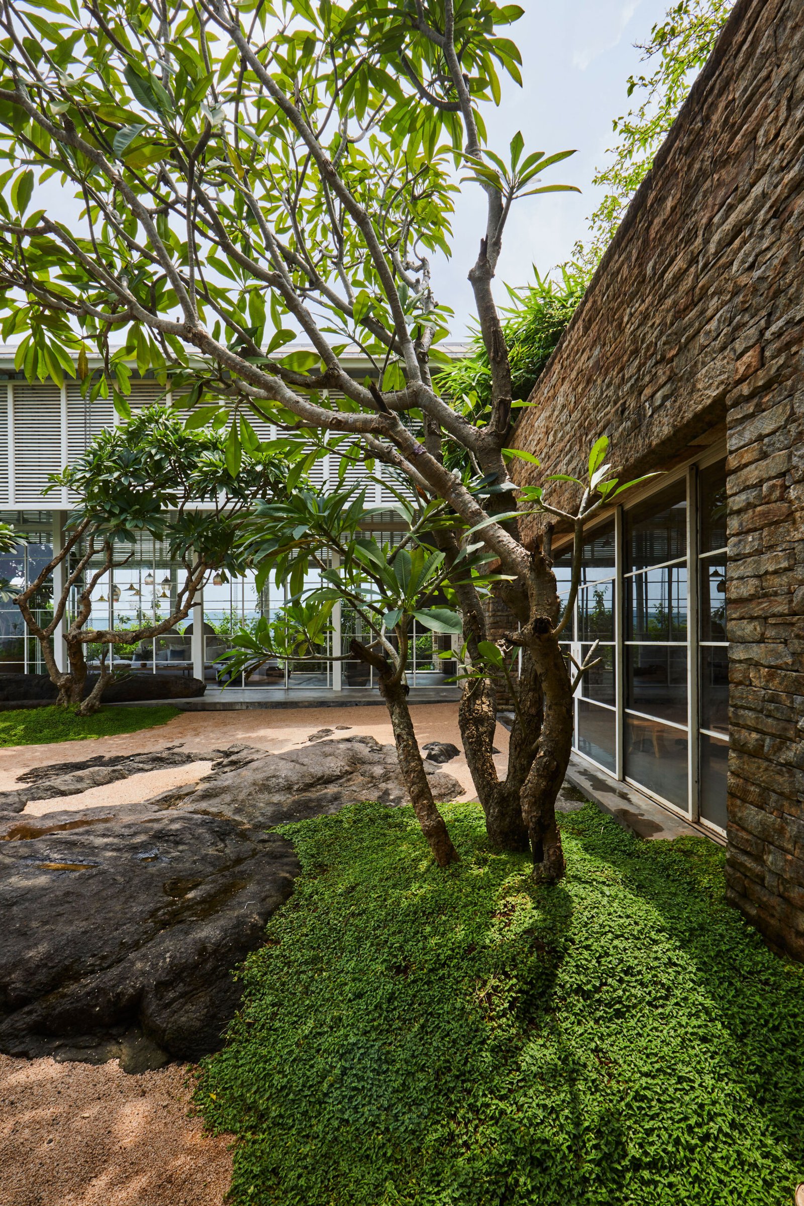 courtyard with frangipani tree