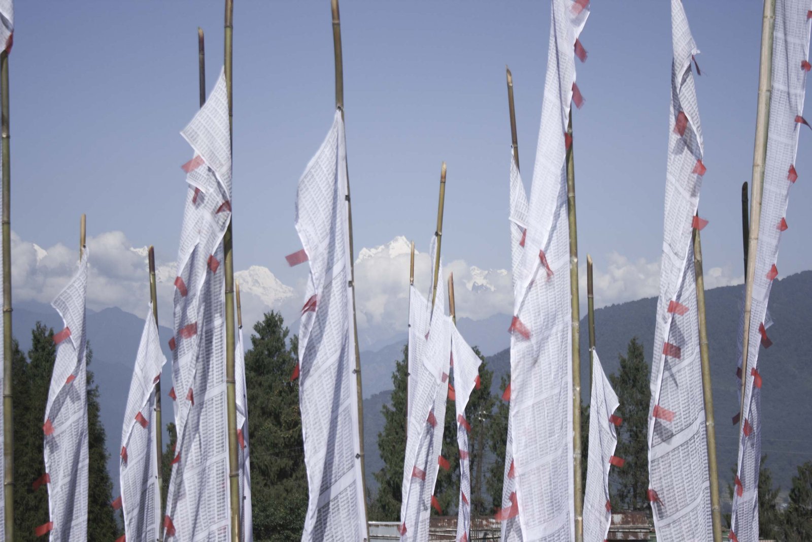 Sikkim india