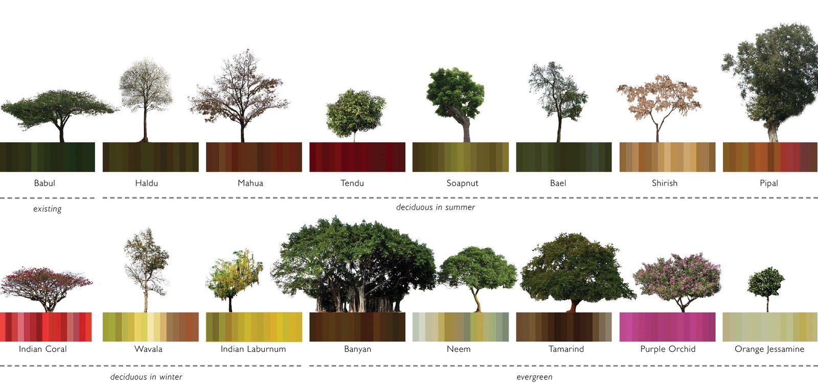 spa delhi competition design list of local trees school design